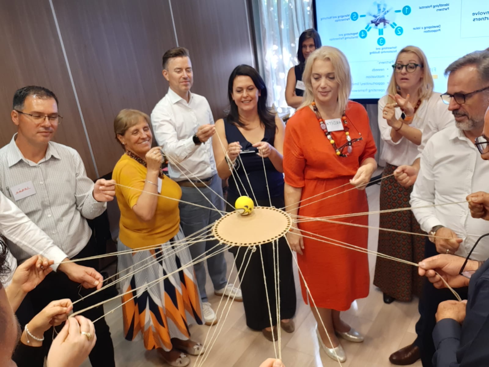 Health-Promoting Hospital Network: Experience of the Delegation from Kosovo